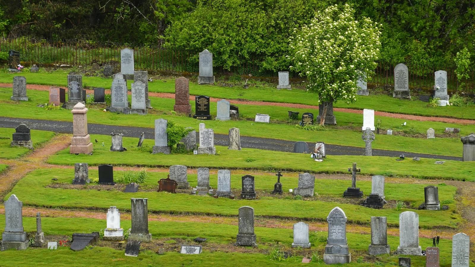 Inhumation ou crémation : comment choisir ?